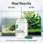 ThriveCaps Aquarium Root Cabs – Premium Root Fertilizer for Live Plants – Slow Release – Strong NPK + Micros – Safe for Shrimp & Snails – 60 Count
