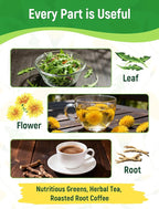 Dandelion Seeds for Planting - 4,000+ Heirloom Dandelion Herb Seeds (Taraxacum officinale), Edible Leaves Flowers Roots, Medicinal Garden, Pollinator-Friendly