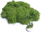 12.7oz Light Green Fake Moss Artificial Floral Moss Greenery Faux Plant for DIY Crafts Fairy Garden Pot Filler Vase Greenery Decorating Project Indoor Model Making Walls Glass Decor Forlaoers