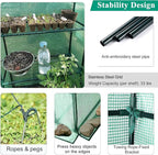 Small Greenhouse for Outdoors,56 x 30 x 76''Mini Walk in Greenhouse, Portable Greenhouse with Roll-up Zipper Entry Door and Anchors for Stability