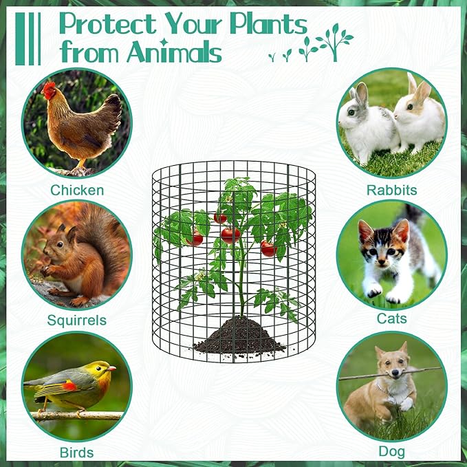 10 Packs 12" x 12" Wire Plant Protectors Wire Plant Cages Metal Mesh Plant Cage Chicken Wire Cloche with Ground Stakes and Nylon Ties Protect Plants,Garden,Shrubs and Vegetables from Animals-30 PCS