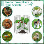 10 Packs 12" x 12" Wire Plant Protectors Wire Plant Cages Metal Mesh Plant Cage Chicken Wire Cloche with Ground Stakes and Nylon Ties Protect Plants,Garden,Shrubs and Vegetables from Animals-30 PCS