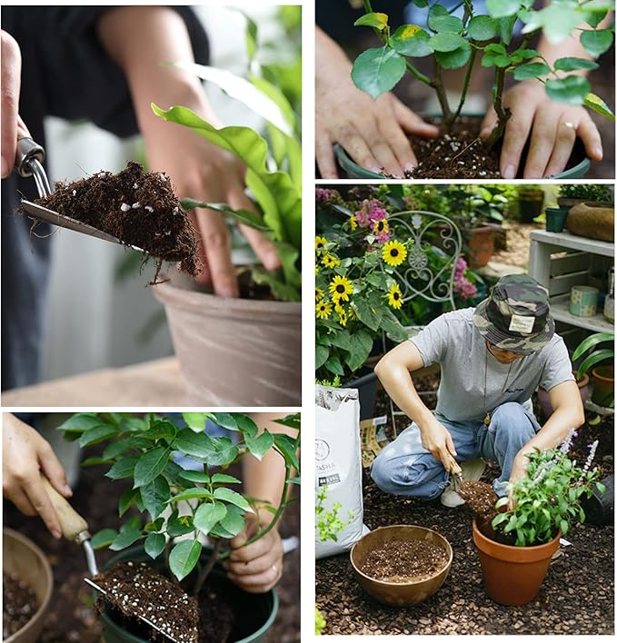 Doter Organic Potting Soil Mix 4qt for All Indoor & Outdoor Small Containers Including Herbs, Vegetables, and Flowers