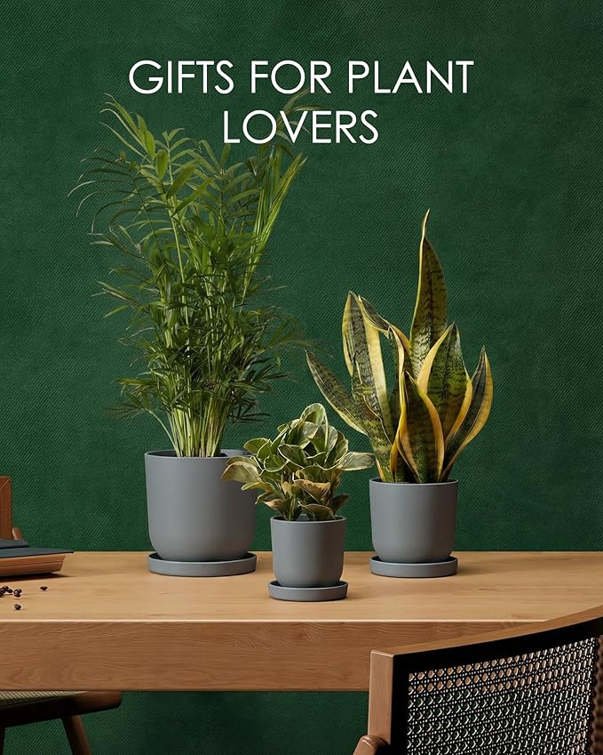 Bamworld Plant Pots Planters for Indoor Plants Flower Pots with Drainage Holes 5/6/7.5 Inch Set of 3 Plastic Planters for Outdoor Plants Garden Pots for Office Room Home Decor Gray