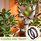 Mudder 5 Roll Aluminum Bonsai Training Wire Tree 160 Feet Total with Bonsai Wire Cutter Anodized Training for Holding Branches Small Trunks(1/1.5/2.0mm,Colorful)