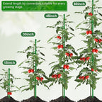 Plant Stakes 17 inch SupKing Support Stick Orchid Stakes with Clips 10Pcs Garden Plant Poles Extended to 3/4/5ft for Indoor Outdoor Potted Tomato Rose Amaryllis Vegetables Monstera -10pcs