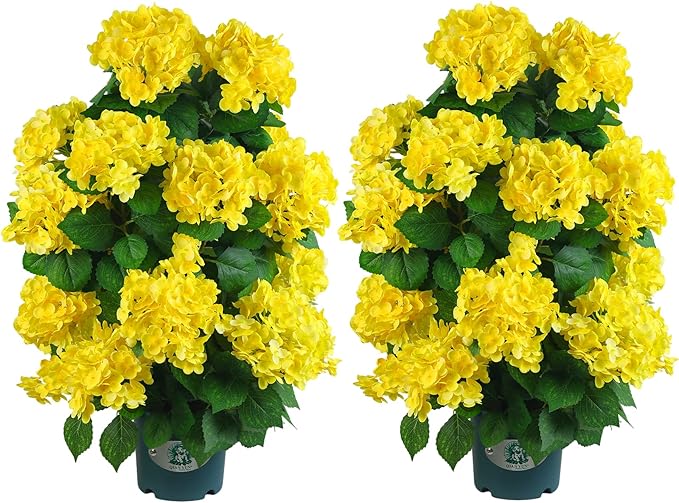 Faux Hydrangea Tree 30" Tall (2 Pack), Artificial Hydrangea Plant in Pot with Yellow Flowers, Realistic Hydrangea Tree for Indoor Outdoor Porch, Patio, Home Decor
