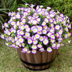 Artificial Faux Flowers for Outdoor 16 Bundles Boxwood Fake Morning Glory for Planter,UV Resistant Fake Flowers for Home Porch Patio Outside（Purple/White）