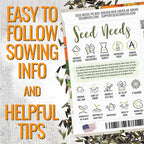 Seed Needs Mexican Sunflower Seeds for Planting Tithonia rotundifolia Flowers - Heirloom & Open Pollinated Annual Flower Seed to Plant an Outdoor Butterfly Garden (2 Packs)