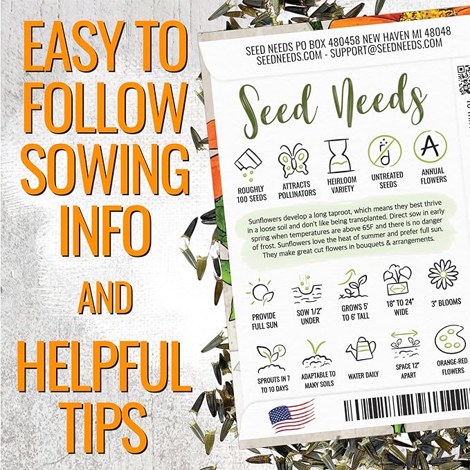 Seed Needs Mexican Sunflower Seeds for Planting Tithonia rotundifolia Flowers - Heirloom & Open Pollinated Annual Flower Seed to Plant an Outdoor Butterfly Garden (5 Packs)