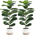 Der Rose 2 Pack 30" Artificial Fiddle Leaf Fig Tree with Warm LED Lights – Battery Powered, Mid-Size Fake Plants for Living Room, Bedroom, Entryway & Home Decor