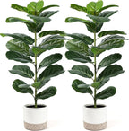Der Rose 2 Pack 30" Artificial Fiddle Leaf Fig Tree with Warm LED Lights – Battery Powered, Mid-Size Fake Plants for Living Room, Bedroom, Entryway & Home Decor