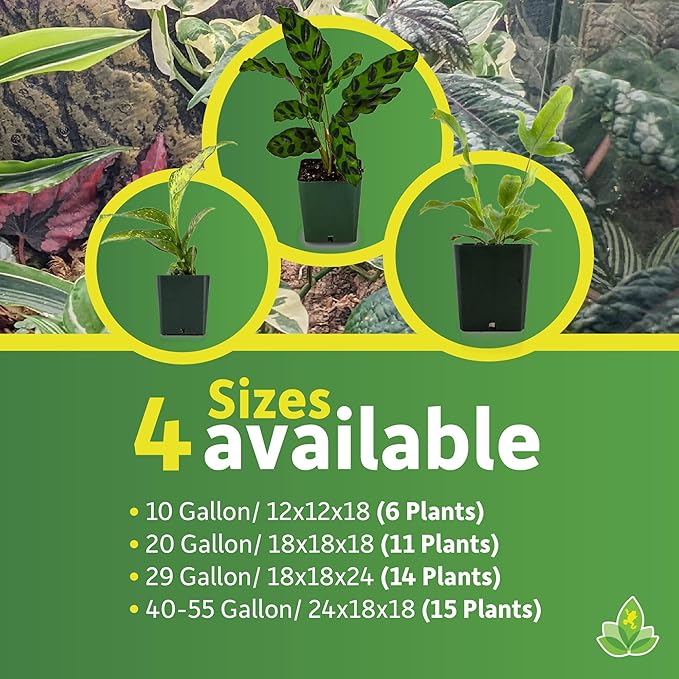Josh's Frogs12x12x18 Tropical Vivarium Plant Kit