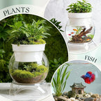 Geelin 0.5 Gallon Plastic Aquaponic Betta Fish Tank Aquaponic with Base and Top, Small Bowl Shatterproof Ecosystem Aquarium with Clear Clarity for Terrarium, Flower Vase Betta Fish Centerpiece Gifts