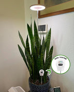 yadoker Plant Grow Light, LED Growing Light Full Spectrum for Indoor Plants, Paired with a Soil Tester,Height Adjustable, Automatic Timer, 5V Low Safe Voltage,Idea for Large Plant Light