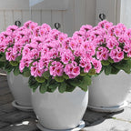 CITYES 3 Pcs Artificial Geraniums Flowers Silk Geraniums for Outdoors UV Resistant Purple Pink Artificial Geranium Bush Faux Flowers Plant Geraniums for Garden Home Decor Patio Vase Table Centerpiece