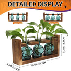 Plant Terrarium Propagation Stations Hydroponics Halloween Skull Planter Vase Skulls Decor with Wooden Stand Gife for Father