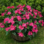 Nigirior Artificial Fake Flowers for Outdoor Décor 6 Bundles UV Resistant Fake Plants for Planter Faux Impatiens for Home Porch/Garden Stunning（Rose Red）