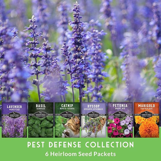 Pest Defense 6 Pack Seeds for Planting - Heirloom Lavender, Hyssop, Catnip, Marigold, Petunia, Basil - Natural Pest Deterrents for Outdoor & Indoor Spaces - Survival Garden Seeds