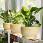 SQOWL Ceramic Planters for Indoor Plants - 10 Inch Plant Pot with Drainage Hole and Saucer, Round Ceramic Flower Pot Outdoor, Decorative Large Planter, Office Decor, Gifts for Women Men, Yellow