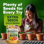 HOME GROWN Marigold Seeds Bulk Mix - 5600+ Crackerjack Marigold Flower Seeds for Planting Outdoors -Flowers Seed for Companion Planting -Wildflower African Marigold(Tagetes erecta)