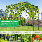 DoCred Garden Arch Trellis for Climbing Plants, 79 Inch Tall Metal Plant Support Trellis Archway for Climbing Vine Vegetable/Fruit/Flower Outdoor Yard Lawn Garden Arch Tunnel Trellis