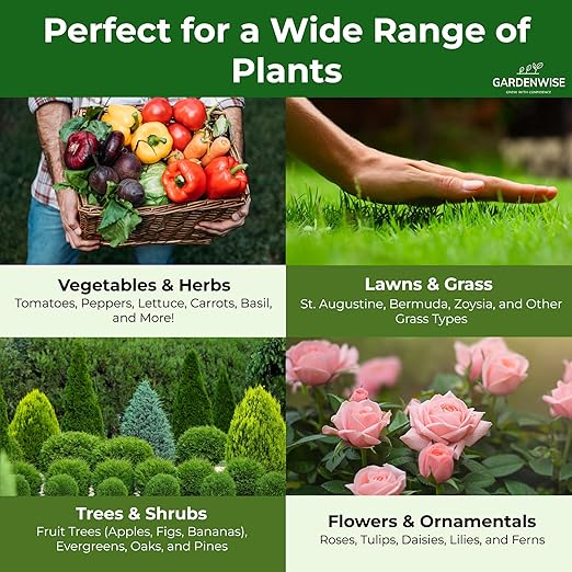 Gardenwise 13-13-13 Slow Release Granular Fertilizer – All Purpose Plant Food 13 13 13 for Outdoor Grass, Vegetables, Roses, Flowers, Shrubs, Trees. Lawns, Gardens, Potted Plants (2 quarts)