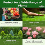 Gardenwise 13-13-13 Slow Release Granular Fertilizer – All Purpose Plant Food 13 13 13 for Outdoor Grass, Vegetables, Roses, Flowers, Shrubs, Trees. Lawns, Gardens, Potted Plants (10 quarts)