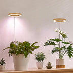 Plant Grow Light,Yadoker LED Growing Light Full Spectrum for Indoor Plants,Height Adjustable, Automatic Timer, 5V Low Safe Voltage,Idea for Small