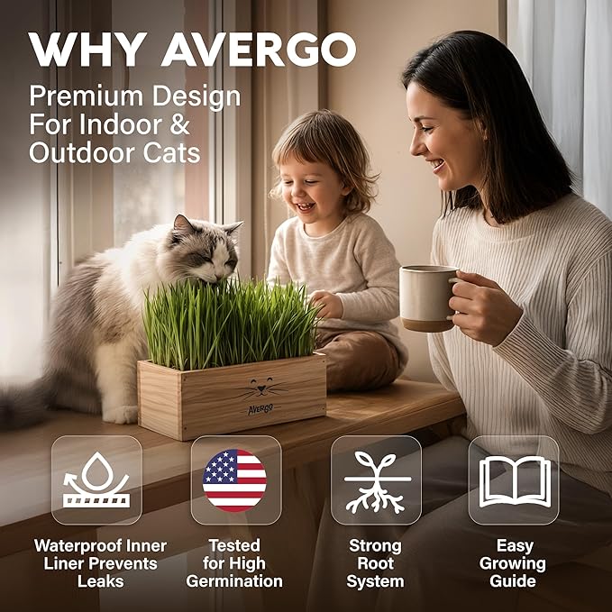 Cat Grass Kit for Indoor Cats – x4 Seed Packets | Cat Grass Seeds with Wooden Planter, Soil & Mini Gardening Tools for Nipping & Nibbling – Pet Wheatgrass Grass