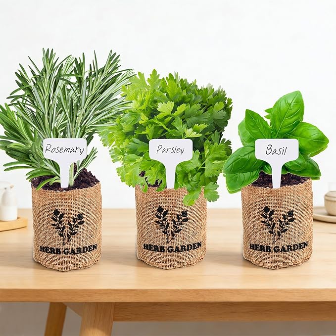 Meekear 5 Herb Indoor Starter Kit, Complete Planting Set for Kitchen Herb Garden DIY & Gift