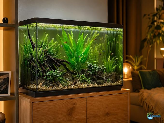Assorted Mixed Plant Bundle - Live Aquarium Plant - Freshwater - Low | Medium | High Light