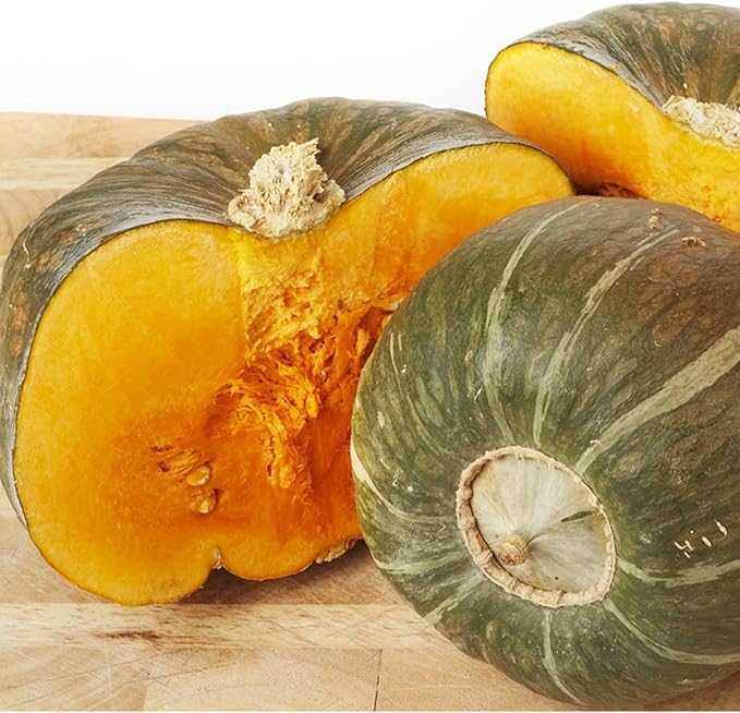 Winter Squash Seeds for Planting – Plant & Grow Burgess Buttercup Squash – Instructions to Plant Non GMO Heirloom Home Outdoor Vegetable Garden – Great Gardening Gift, 3 Packets