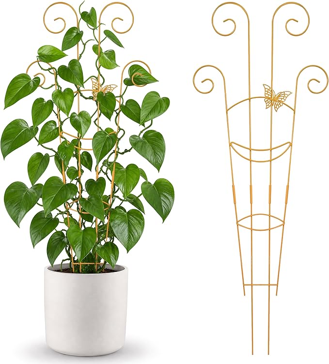 2 Pcs 30'' Monstera Plant Trellis for Pots, Metal Garden Trellis for Outdoor Plant Climbers, Expandable Houseplant Support with Butterfly Design for Monstera Ivy Hoya Vine, Gold