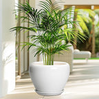Ceramic Pot for Plants - 10 Inch Planter with Drainage Hole and Saucer, Glaze Modern Round Flower Pot for Indoor Plants, Housewarming Gift, Home Decor, White