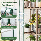 Bamworld 23 x 17 x 54-Inch Mini Greenhouses for Outdoors Portable Green House with PE Cover Sturdy Eucalyptus Wood Frame Small Greenhouse for Winter Plant Frost Protection Plant Garden Hot House