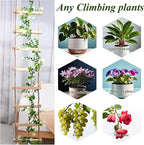 Yohsnor 2PCS Chain Trellis for Climbing Plants - Natural Wood Indoor Plant Support, Durable 6.5 Inch by 4 Feet Design, Perfect for Pothos, Ivy, and Vines with Easy Installation Hook