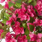 4FT Artificial Bougainvillea Tree, UV Resistant Faux Bougainvillea for Indoor Outdoor Decor, Lifelike Bougainvillea Artificial Flowers Plant for Office, Front Porch, Living Room & Patio