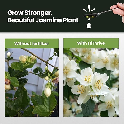 32oz Jasmine Fertilizer for Jasmine Plant Live - Makes 192 Gallons of Indoor Plant Food for Houseplants, Nutrient-Rich Houseplant Fertilizer - Ideal Outdoor & Houseplant Food for Vibrant Growth