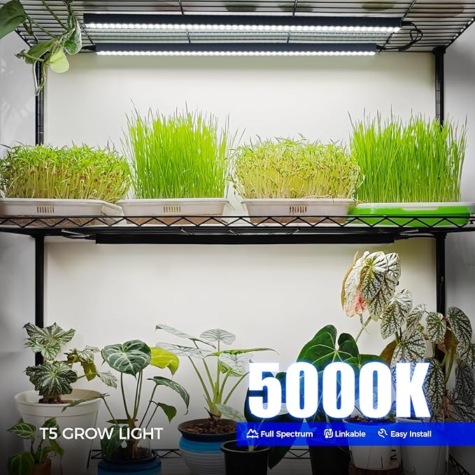 Barrina T5 Grow Lights, 2FT 80W(8 x 10W) Black Cover, LED Plant Growing Lamp for Indoor Plants, Full Spectrum Grow Light Strip with Switch, Magnetic Installation, Plug and Play, 5000K White, 8 Packs