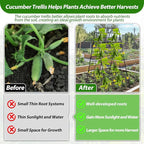 2 Packs Cucumber Trellis for Raised Bed 42 x 16 A Frame Metal Adjustable Garden Trellis for Climbing Plants Outdoor, Foldable Coated Steel Easy Install Cucumber Trellis for Vegetable Fruit Flower
