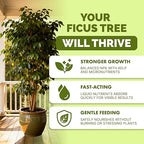 Ficus Tree Fertilizer – Liquid Plant Food for Lush Foliage, Stronger Roots & Healthy New Growth, 32 oz