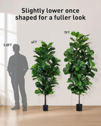Fiddle Leaf Fig Tree 7ft Tall Artificial Tree in Plastic Pot Fake Ficus Lyrata Plants with 184 Decorative Fiddle Leaves Faux Fig Trees for Home Office Living Room Decor Indoor Outdoor