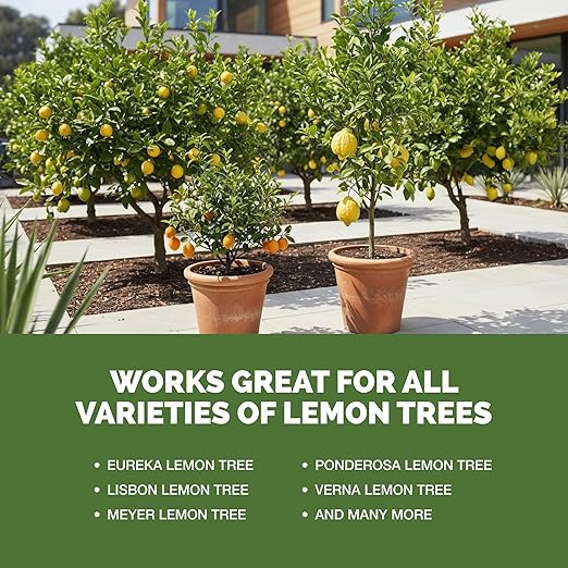 Lemon Tree Fertilizer – Liquid Plant Food for More Fruit, Better Flowering & Stronger Root Development, 32 oz