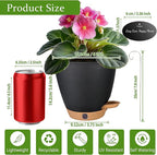 6 Inch Self Watering Pots for Indoor Plants(5-Pack) – Small Plastic Planters with Water Level Window, Drainage Holes & Detachable Trays, Indoor Outdoor Flower Pots for Herbs, Snake,Pothos(Black)