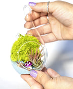 Creations by Nathalie - DIY Terrarium Kit with Live Air Plant (Local & Fresh from Florida), Glass Tear Drop, Reindeer Moss, Figurine, Healing Crystal Chips and Sand - Handmade in USA