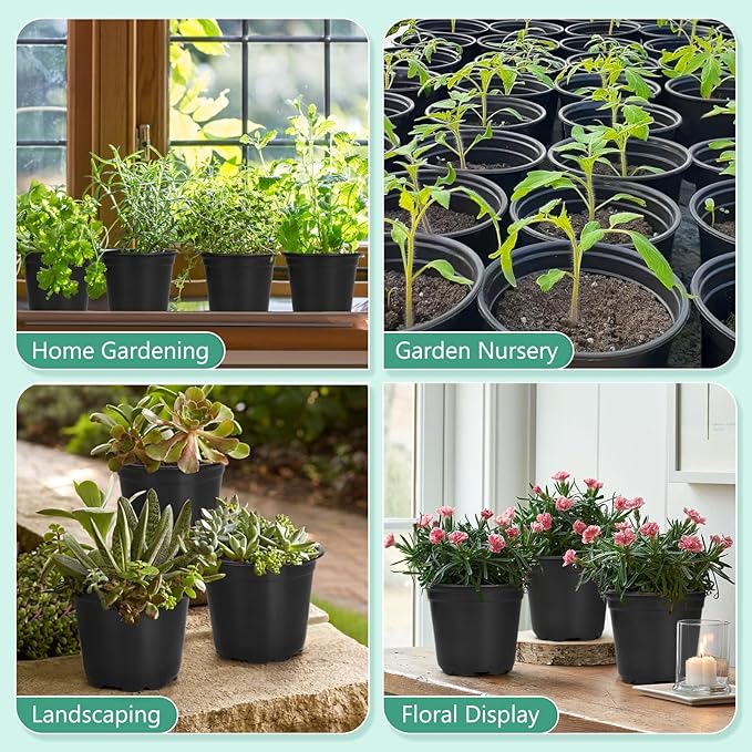 60 Pack 3 Inch Nursery Pots for Plants, Plastic Seeds Starter Pots with Drainage Holes, Small Plastic Plant Nursery Pots for Succulents Seedling Cutting Transplanting (60, 3 Inch)