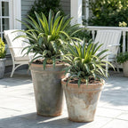 Artificial Agave Plant 19.68Inch UV Resistant Faux Agave Plant Outdoor Large Fake Plants Indoor Realistic Artificial Plants Without Pot for Outdoor Patio Garden Indoor Home Decor (2 Packs)