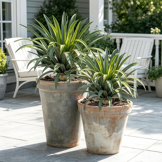 Artificial Agave Plant 19.68Inch UV Resistant Faux Agave Plant Outdoor Large Fake Plants Indoor Realistic Artificial Plants Without Pot for Outdoor Patio Garden Indoor Home Decor (2 Packs)