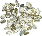 Seed Needs Mammoth Grey Stripe Sunflower Seeds for Planting - Heirloom & Open Pollinated Flower Seed to Plant an Outdoor Butterfly Garden (1 Pack)